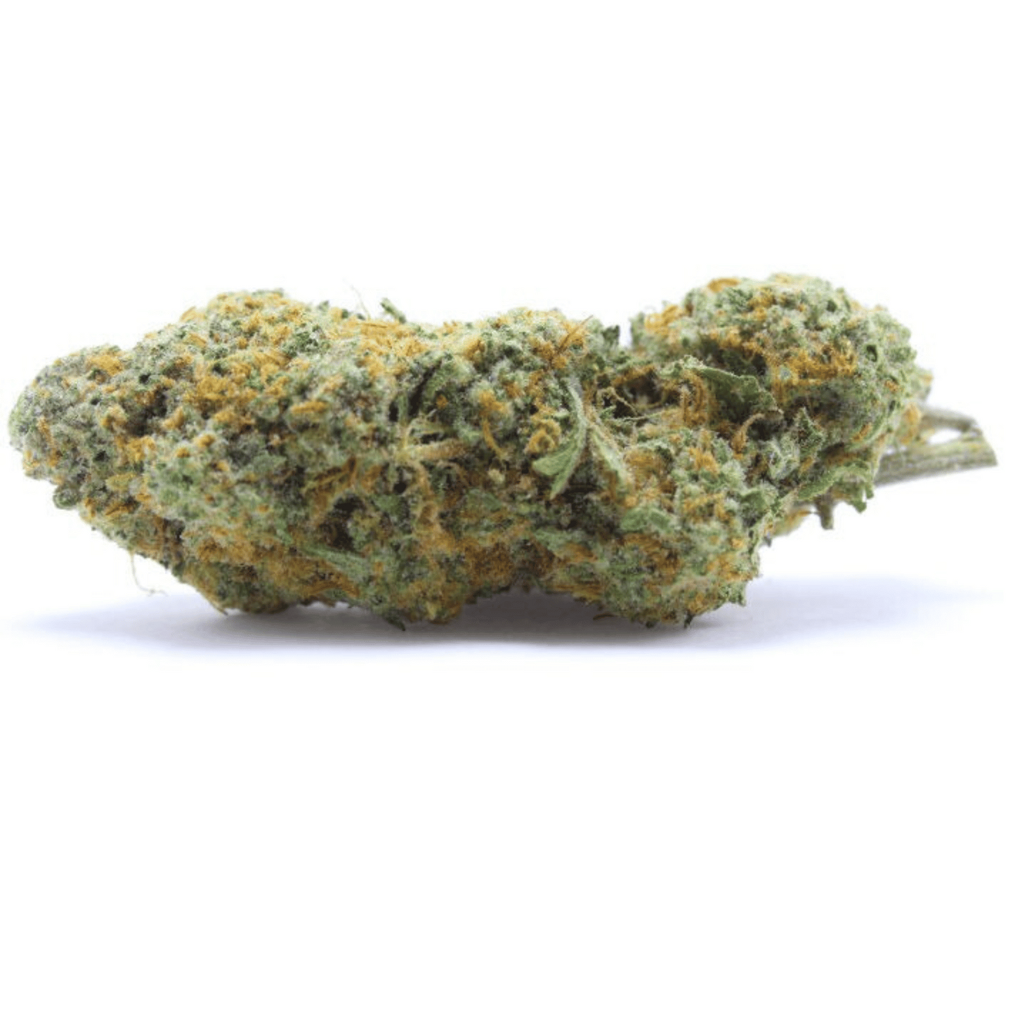 Chocolate Kush 6