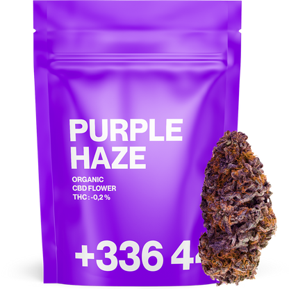 Purple Haze CBD 😈