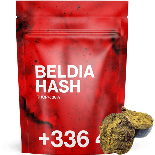 Beldia Hash THCP+