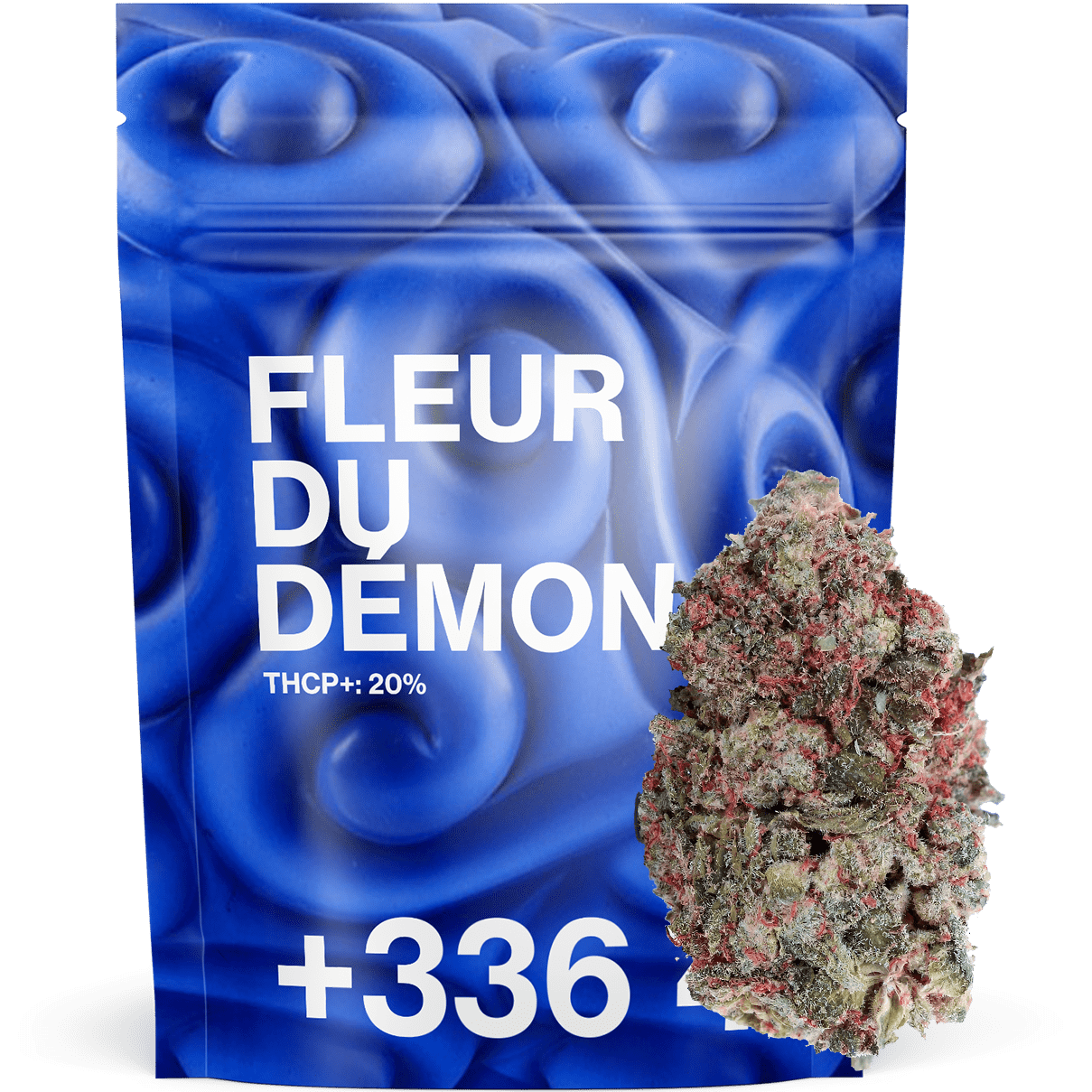 Fleur du Démon THCP