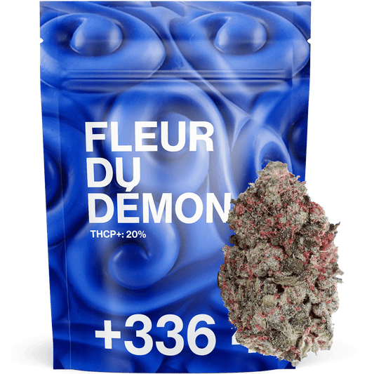 Fleur du Démon THCP