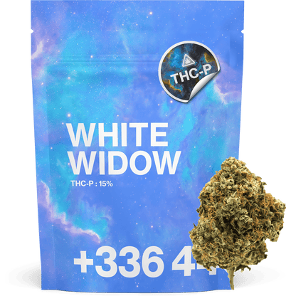 White Widow THCP