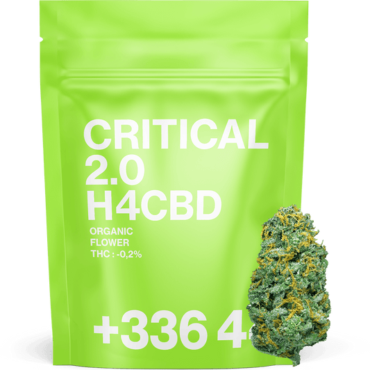 Critical Haze H4CBD