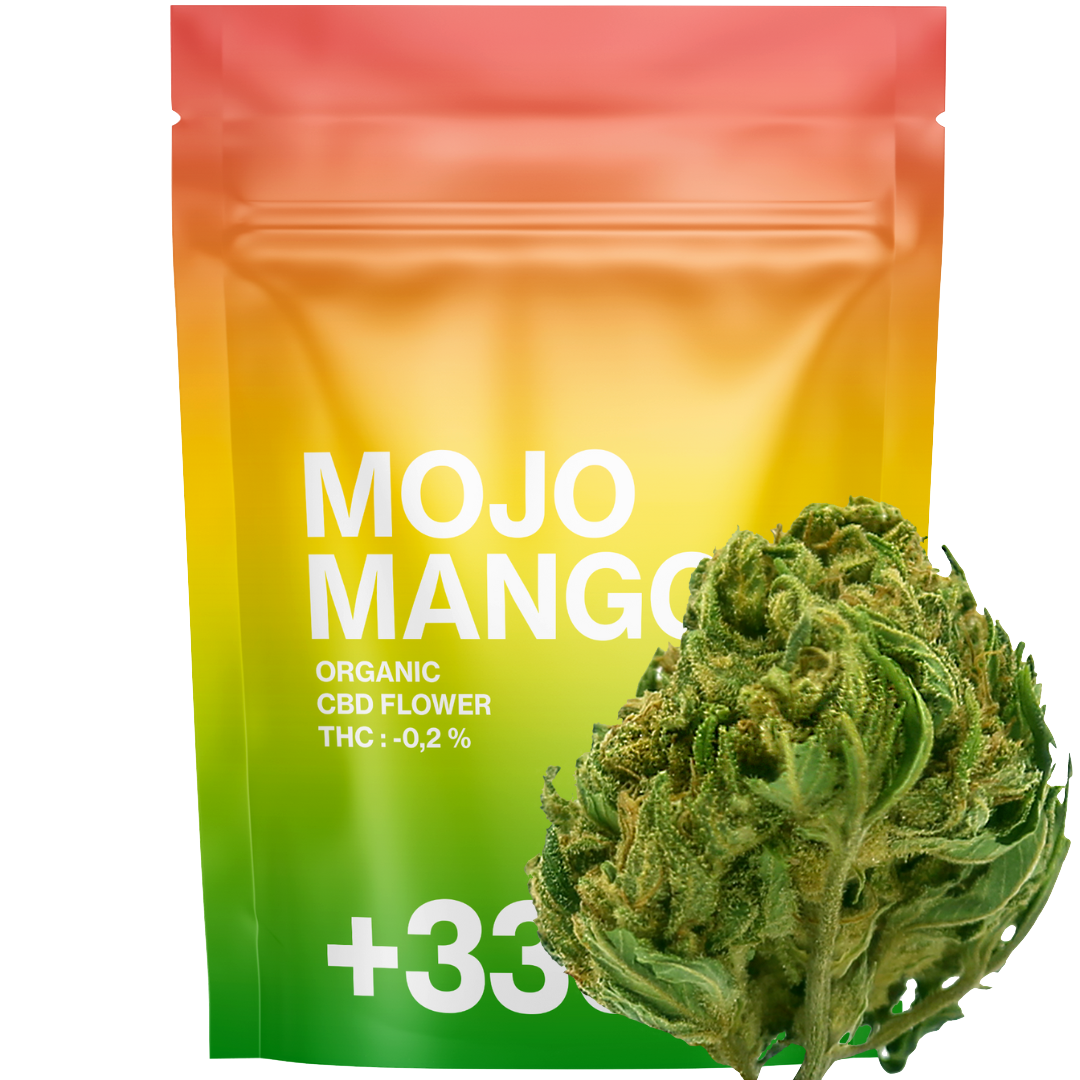 Mojo Mango CBD 2.0