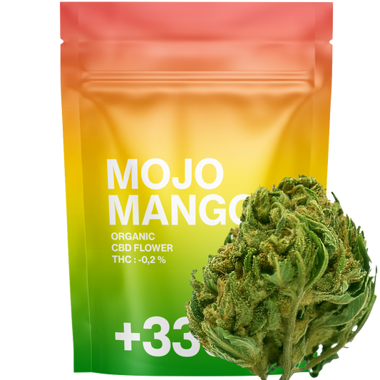 Mojo Mango CBD 2.0